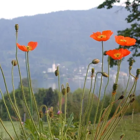 Strussnighof Konukevi Pörtschach am Wörthersee