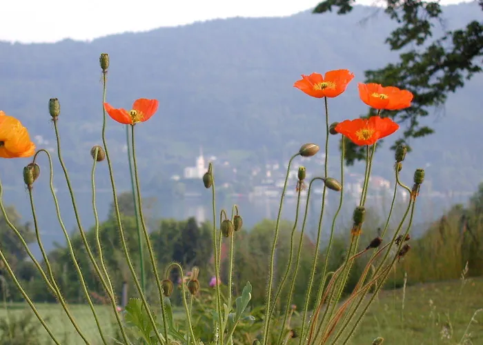 Strussnighof Pörtschach am Wörthersee