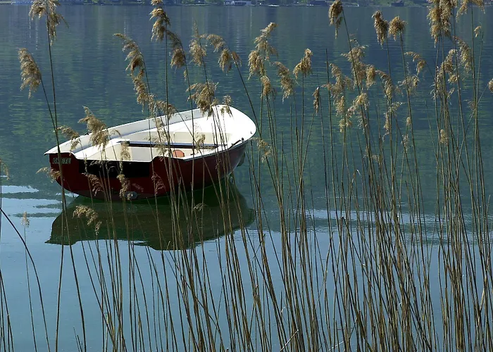 Strussnighof Guest house 3*